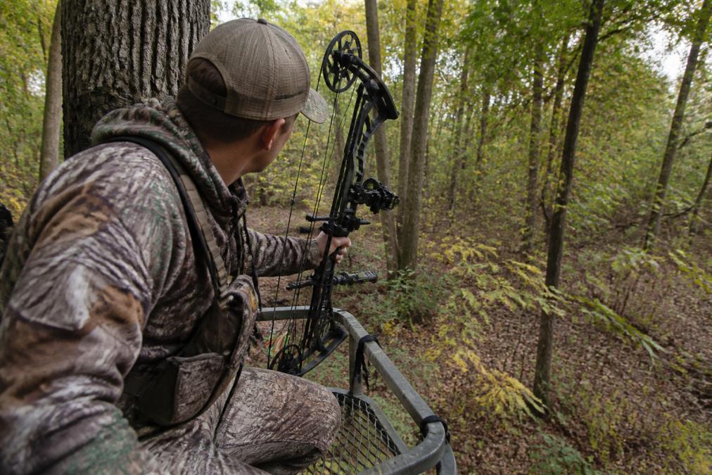 Innovative Bow Hunting Setup Ideas for 2026