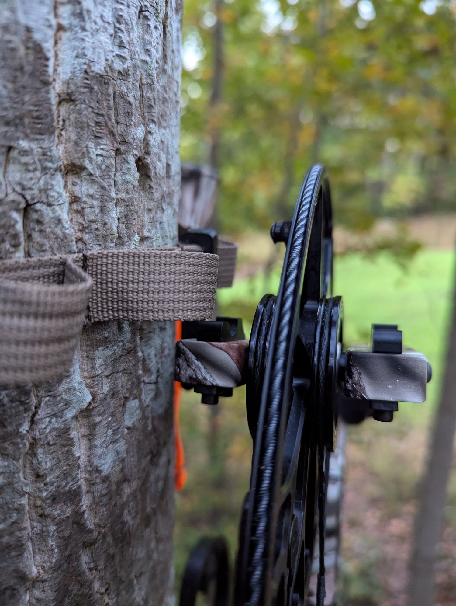 Split limb bow hanger gear strap for saddle hunting by 3D Hunting Solutions, showing the strap attached to a tree with a bow.