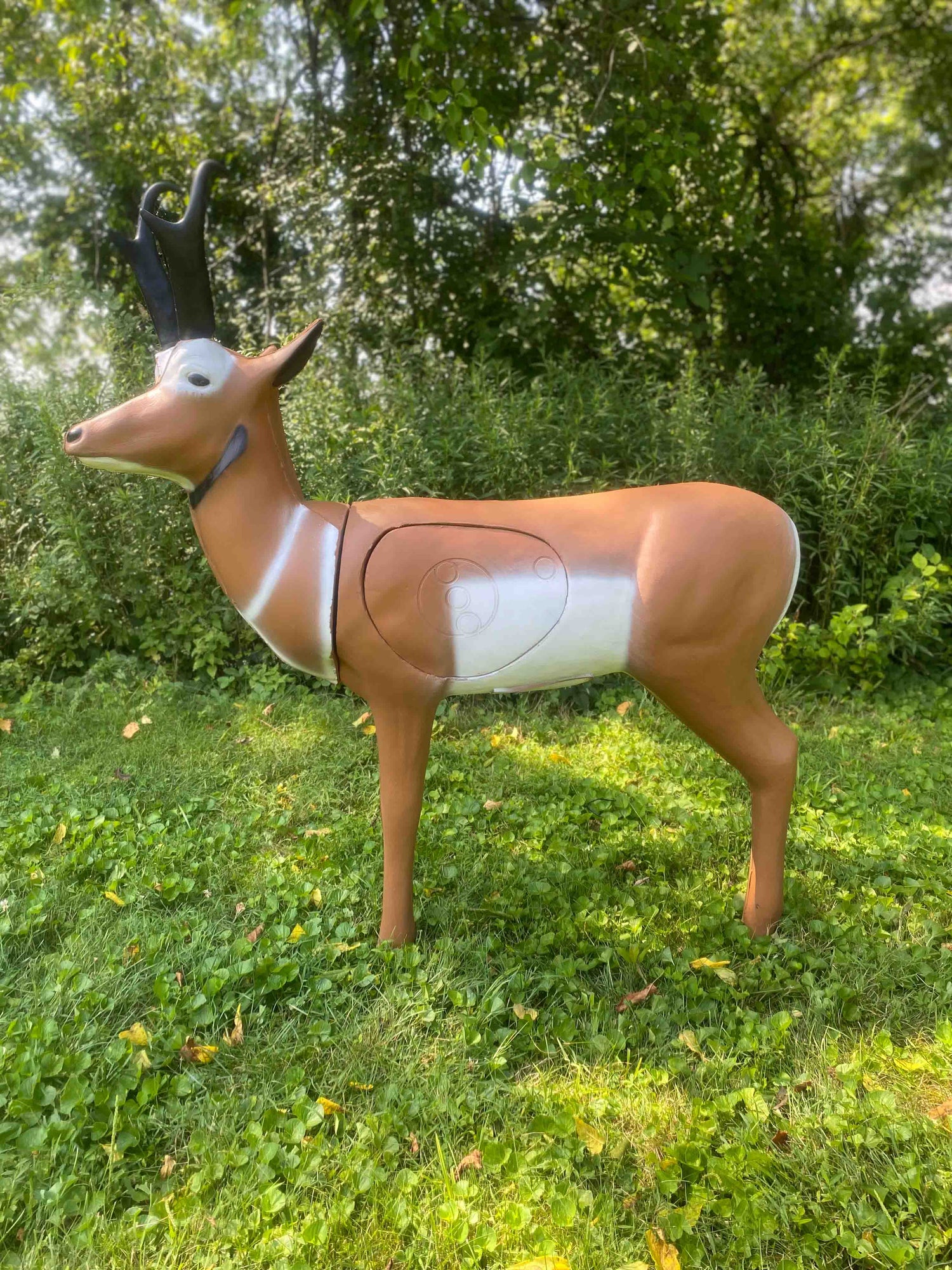 Real Wild 3D Pronghorn Antelope archery target by BIGshot Archery with EZ Pull Foam for realistic shooting practice.