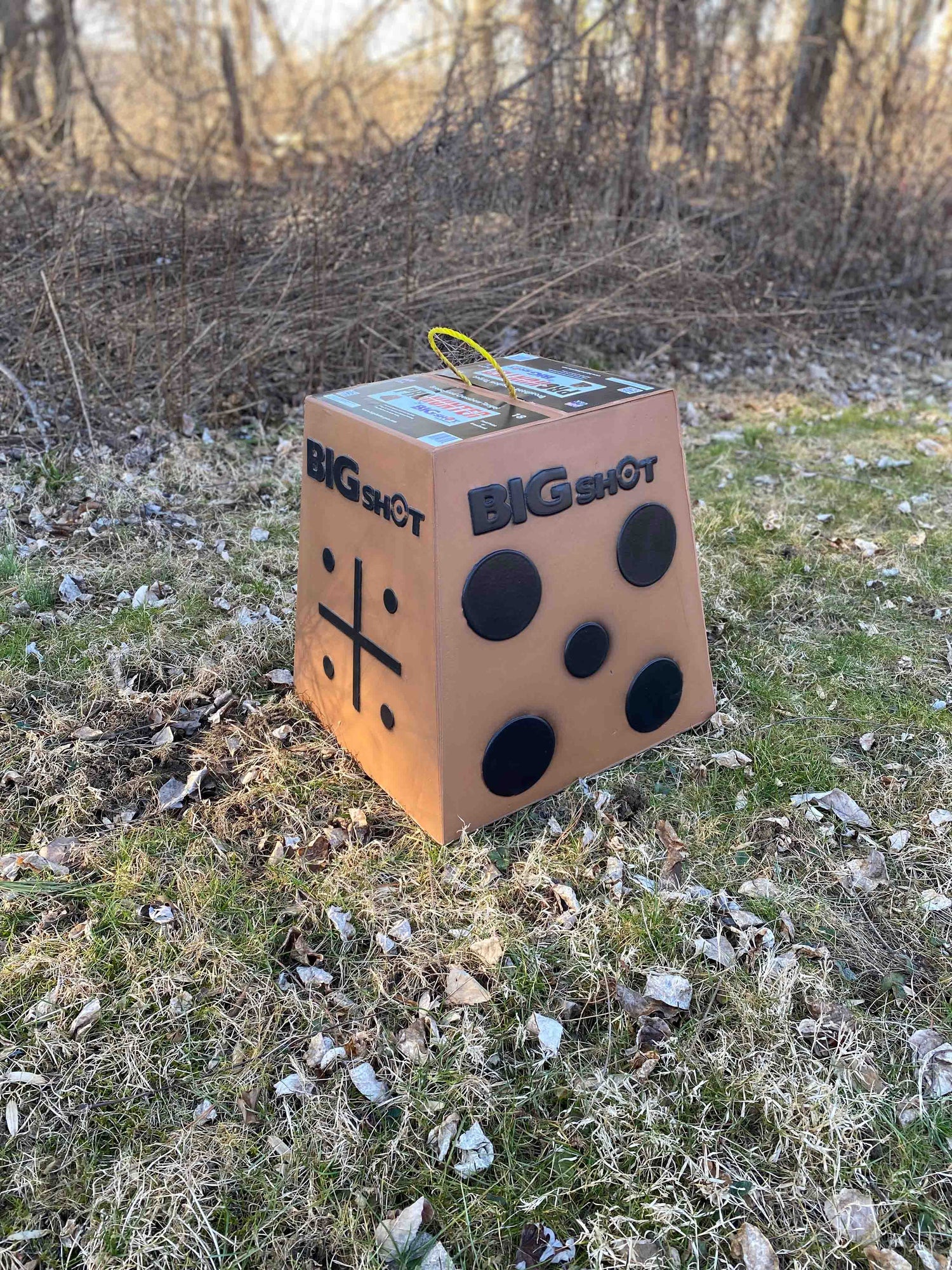 Bigshot Archery Pro Hunter 16 bag and block target for archery practice, featuring durable design and realistic target surface.