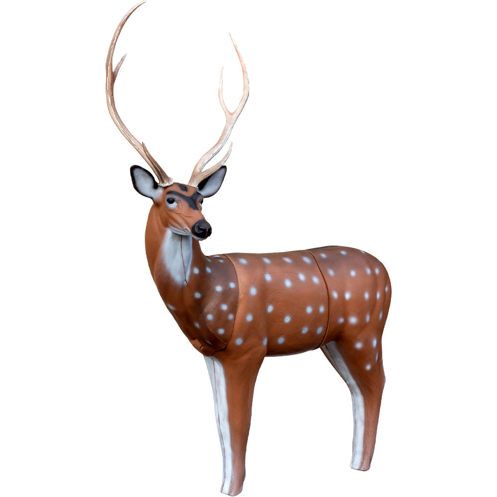 QuivAR Enabled Axis Deer - 3D Hunting Solutions