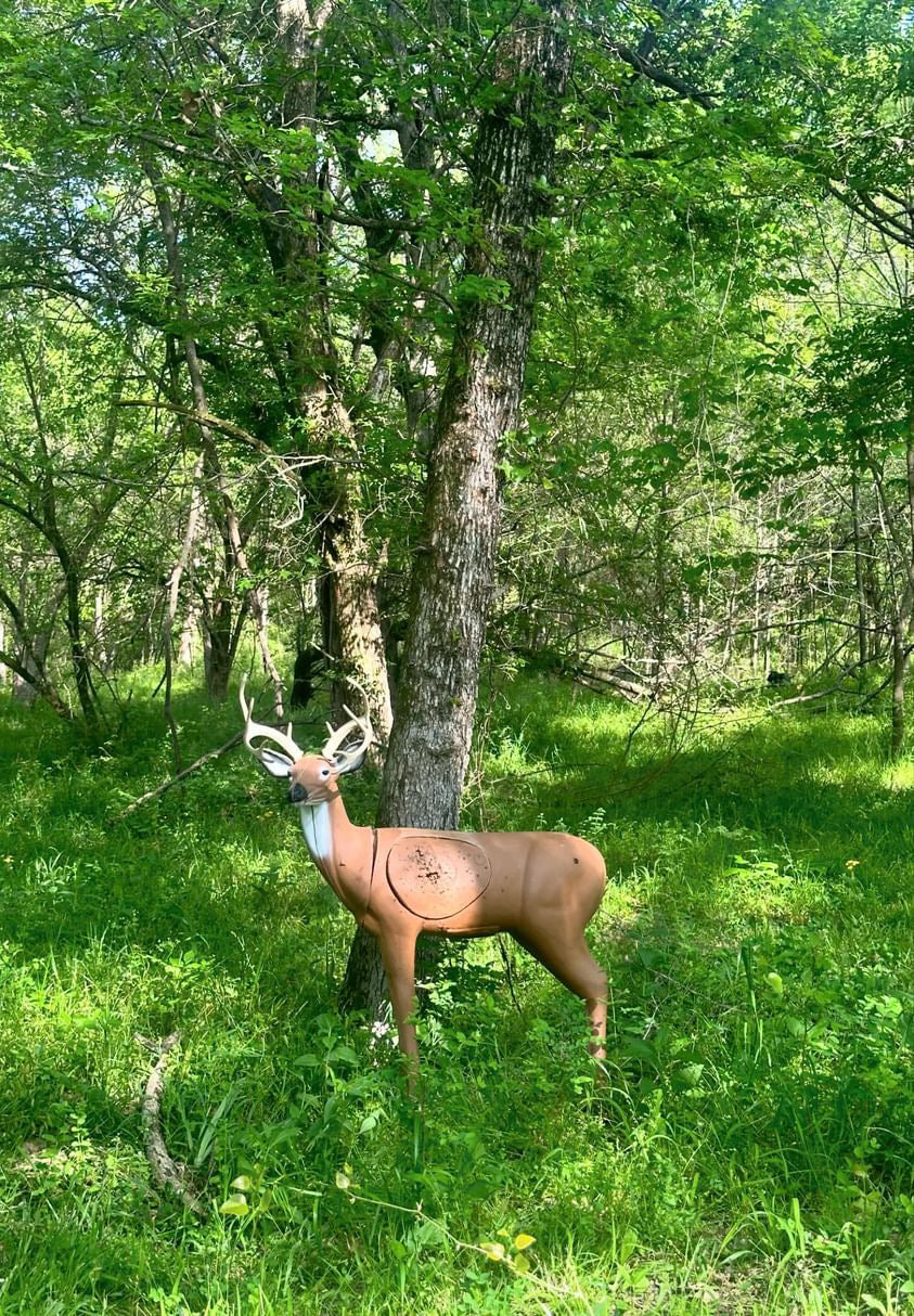BIGshot Archery Pro Hunter Double Duty Buck 3D Archery Target with realistic deer design for practice shooting