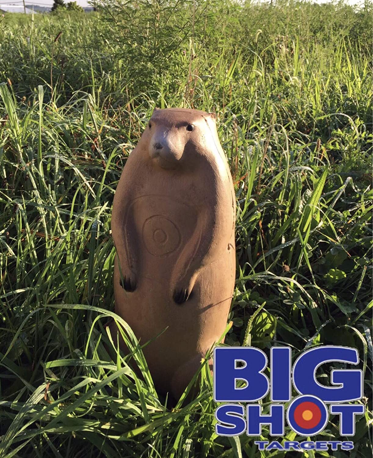 BIGshot Archery Pro Hunter 3D Raccoon and Groundhog Combo Pack archery targets showcasing realistic animal designs for target practice