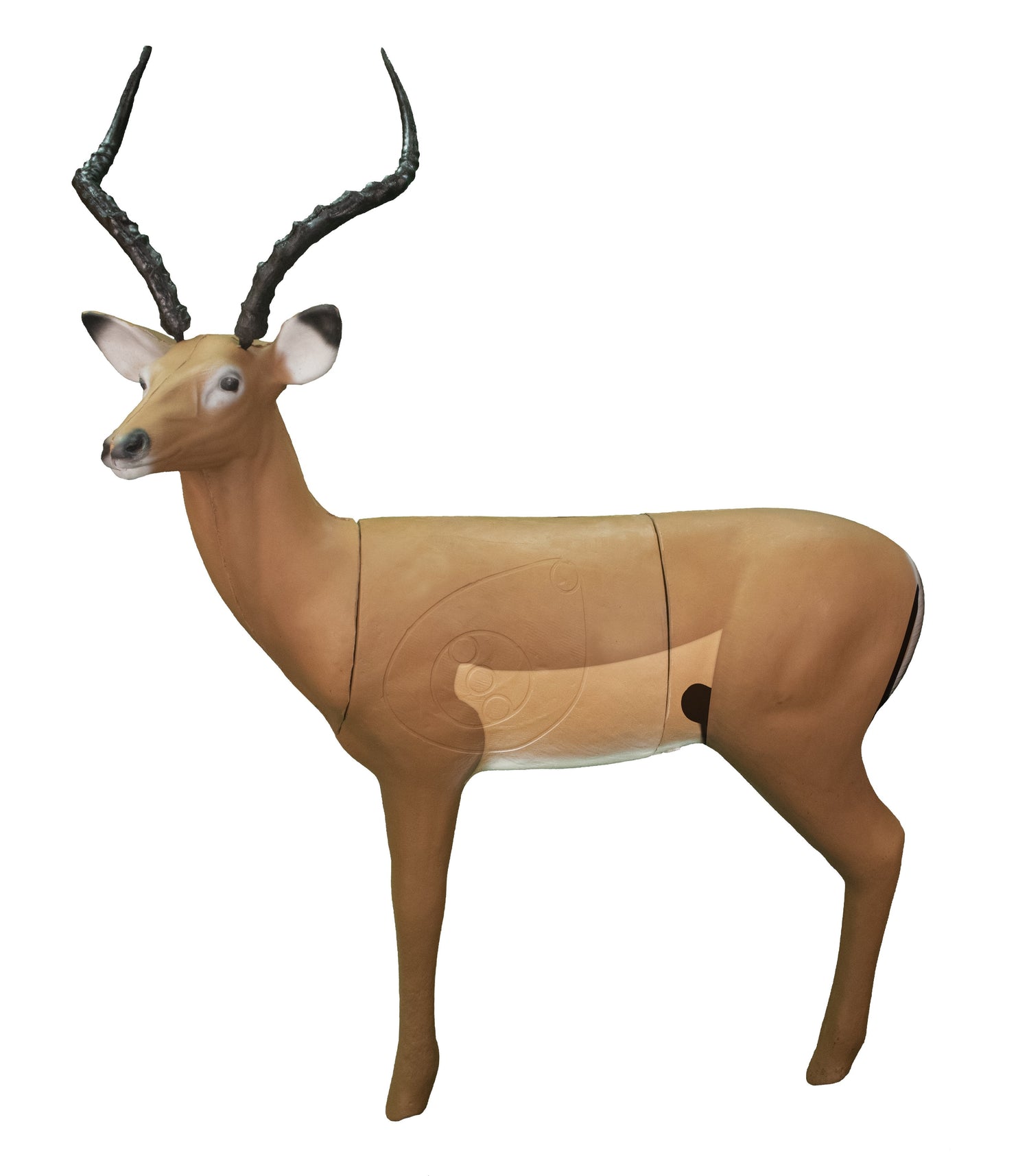 Real Wild 3D African Impala archery target by BIGshot Archery, showcasing detailed impala design for realistic shooting practice