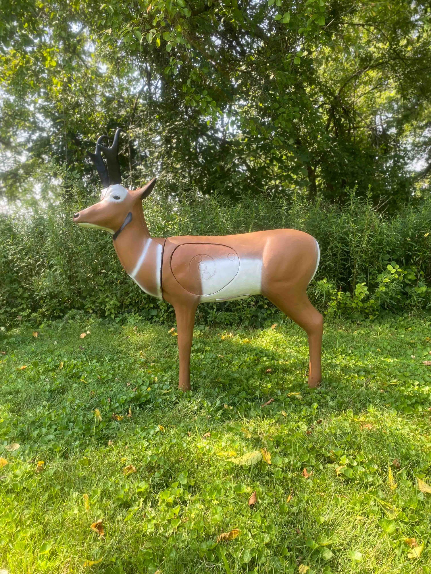 Real Wild 3D Pronghorn Antelope archery target by BIGshot Archery with EZ Pull Foam for outdoor shooting practice.