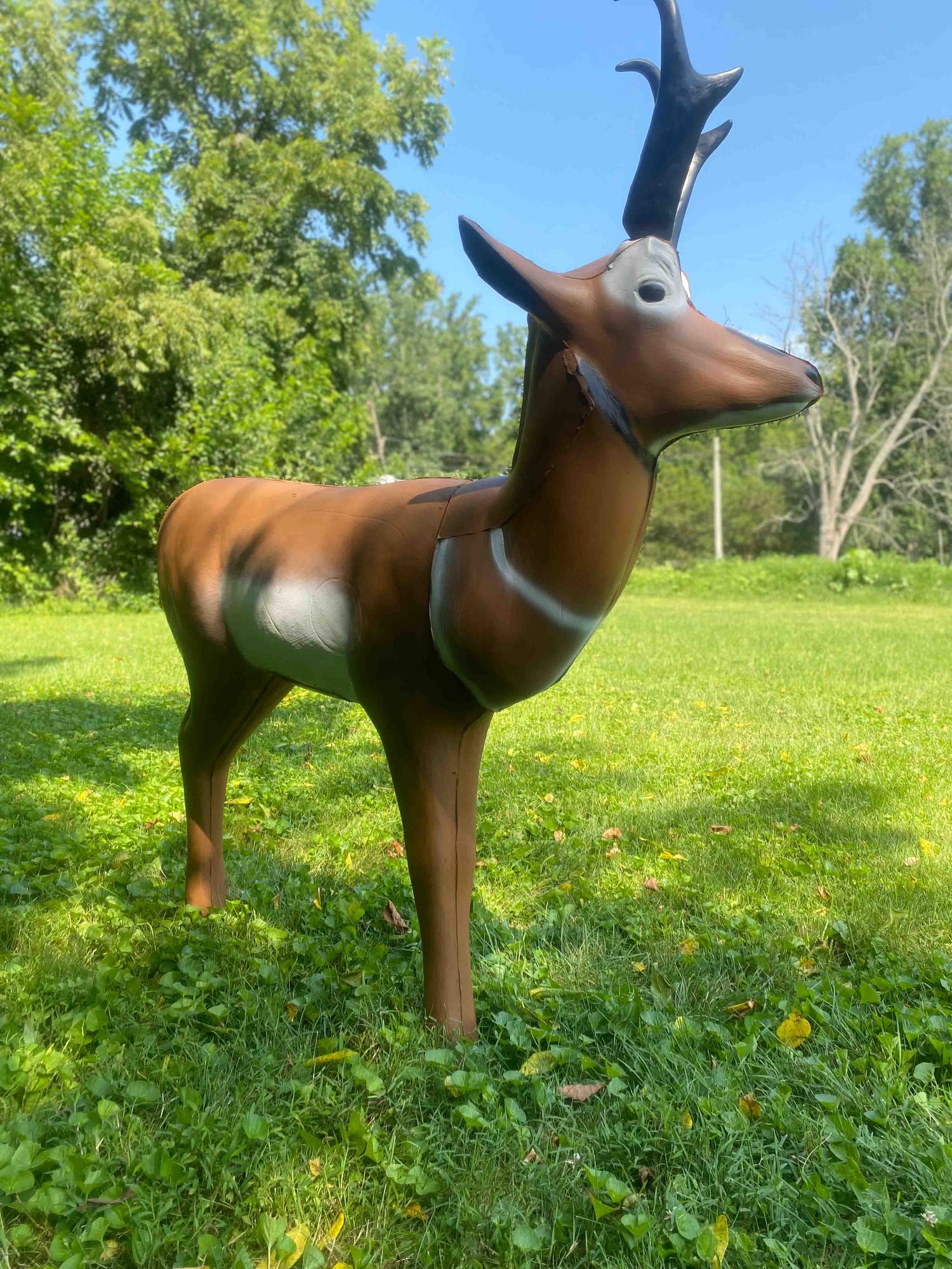 Real Wild 3D Pronghorn Antelope archery target by BIGshot Archery with EZ Pull foam for realistic hunting practice.