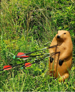 Real Wild 3D standing groundhog archery target by BIGshot Archery with EZ Pull foam for realistic practice.