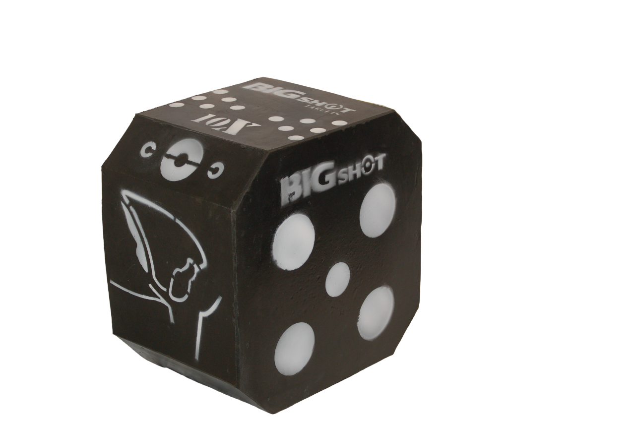Bigshot Archery Titan 10XS Crossbow Target, durable archery target with multiple target faces for crossbow practice.