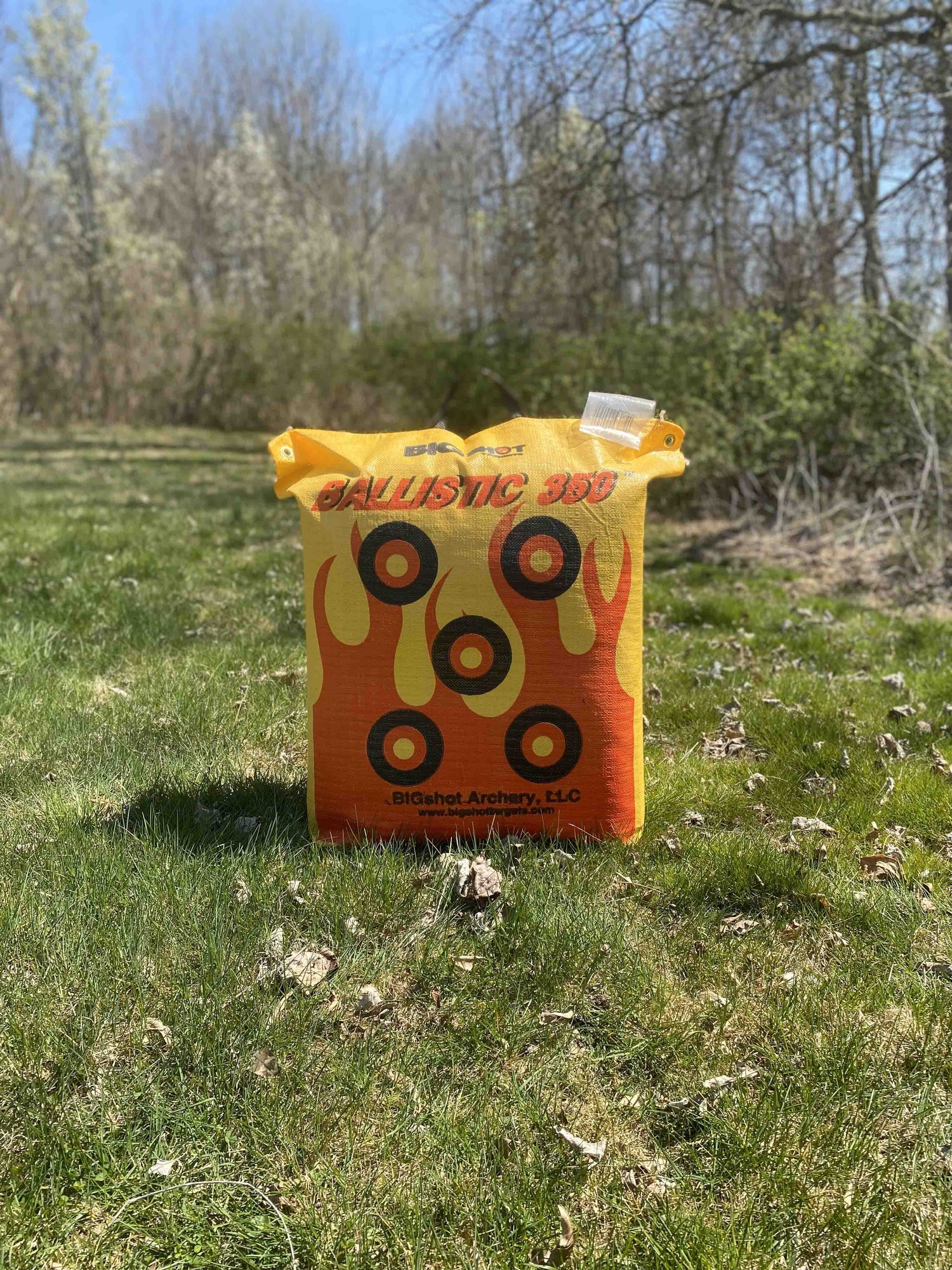 BIGshot Archery Ballistic 350 archery bag target showing a sturdy, durable target bag designed for archery practice and training.