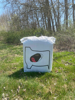 BIGshot Archery Trophy Whitetail Bag Archery Target with realistic deer design for practice and target shooting.