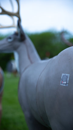 BIGshot Archery QuivAR enabled Mule Deer target with realistic 3D deer image for archery practice and hunting training.