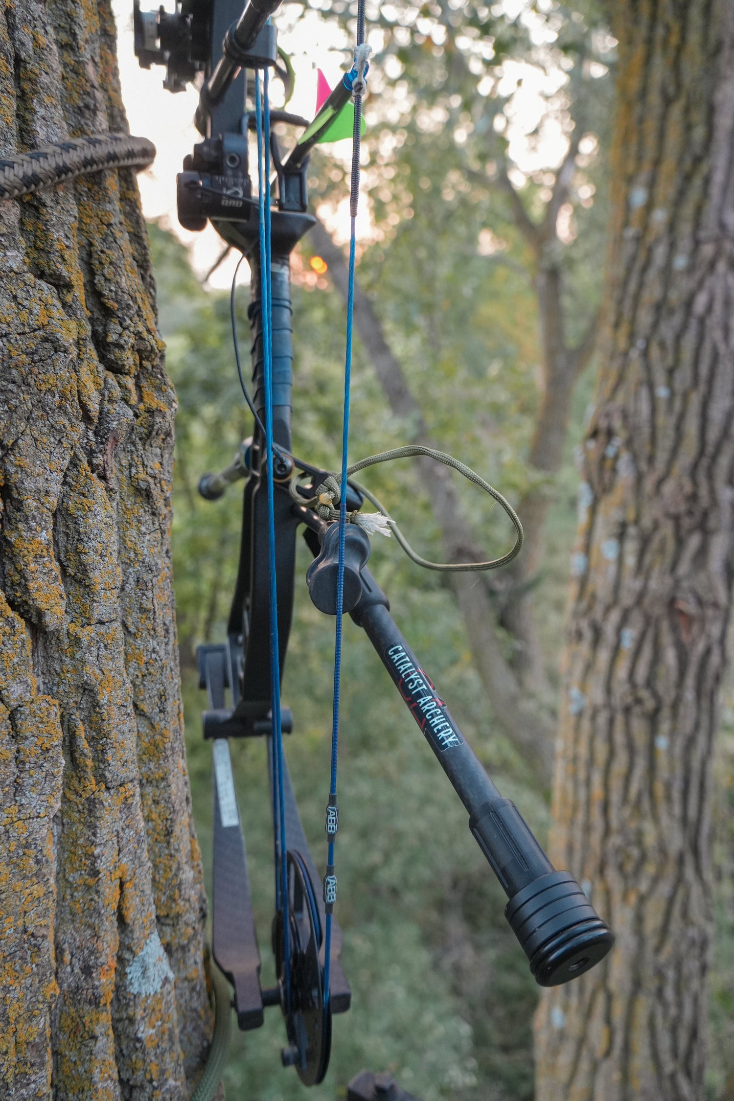 Catalyst Archery bow hunting stabilizer set with 8-inch and 6-inch stabilizers for improved steadiness and accuracy.