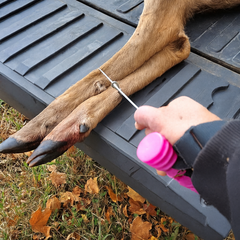 Pair of Doe Cuffs from Game Cuffs, LLC, featuring adjustable metal cuffs with a sleek, minimalist design for secure wear.