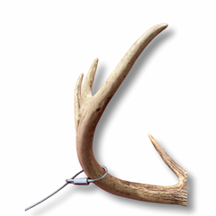 Pair of silver Doe Cuffs jewelry by Game Cuffs, LLC featuring elegant, open-ended cuff bracelet design.
