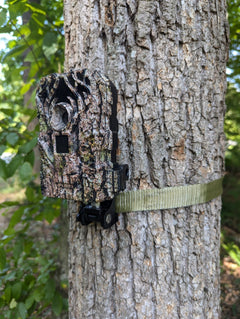 The Silent Roost Trail Camera Mount - 3D Hunting Solutions